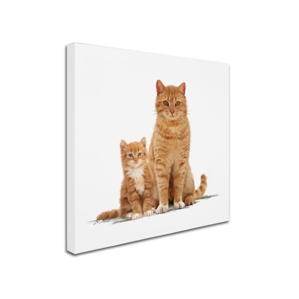 The Macneil Studio 'Ginger Cat And Kitten' Canvas Art,14x14